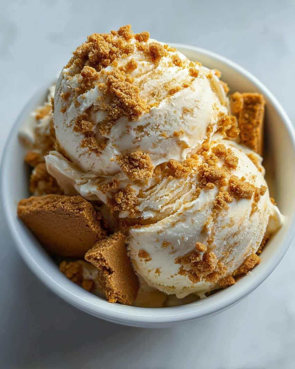 No-Churn Biscoff Ice Cream - detail 1