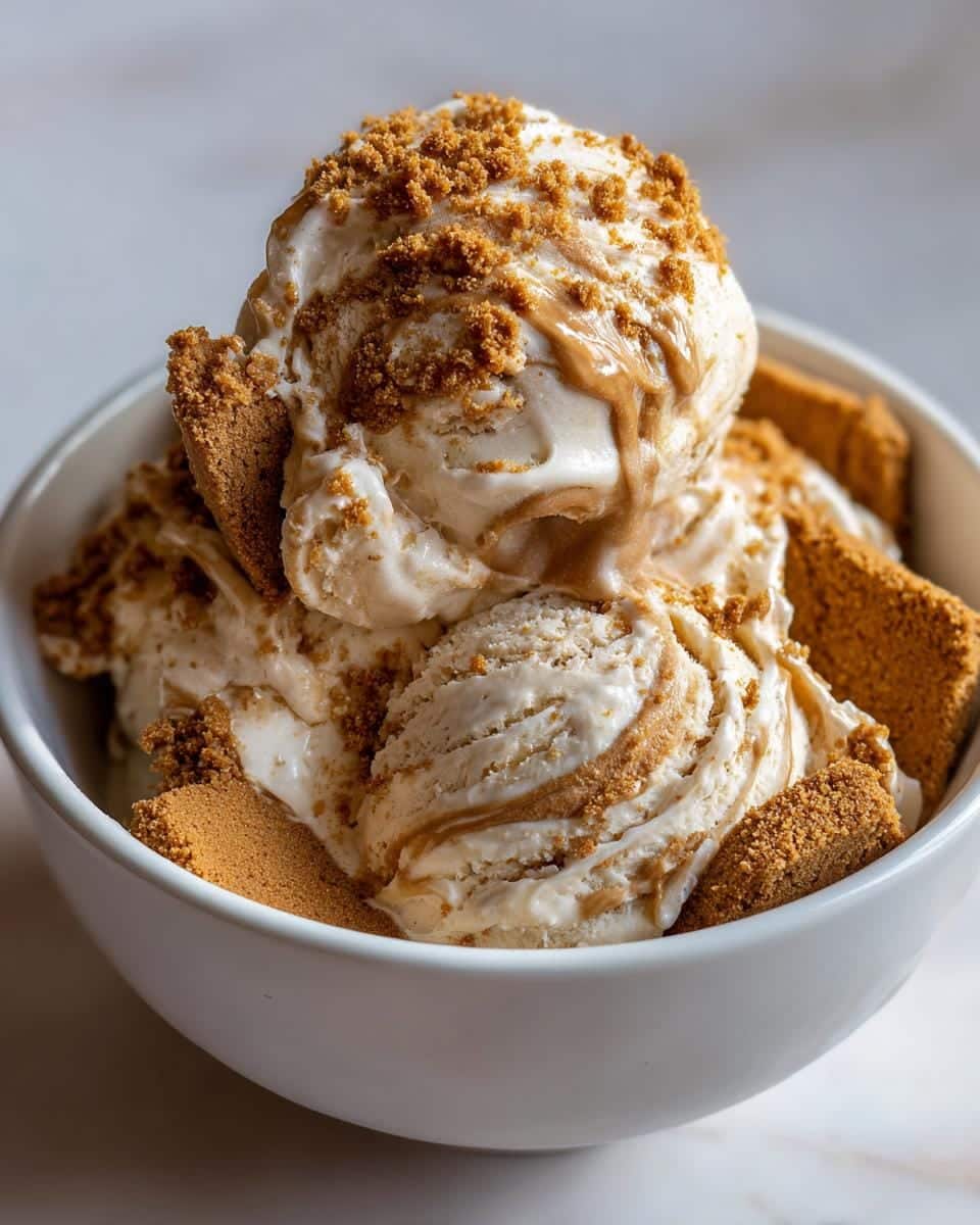 No-Churn Biscoff Ice Cream - detail 2