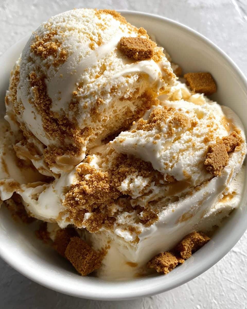 No-Churn Biscoff Ice Cream - detail 3